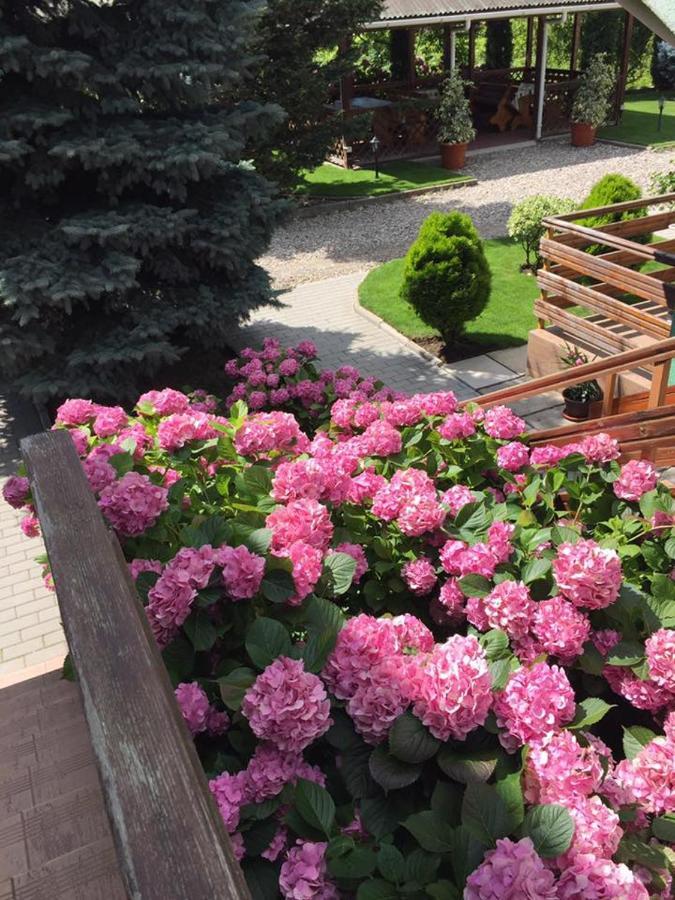 Pension Charisma Băile Herculane Exteriér fotografie