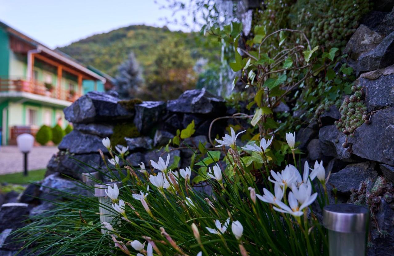 Pension Charisma Băile Herculane Exteriér fotografie